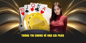 Giới Thiệu Nền Tảng Giải Trí PG88